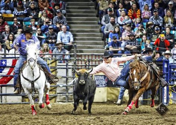 An Inspiring Bull Riding Odyssey