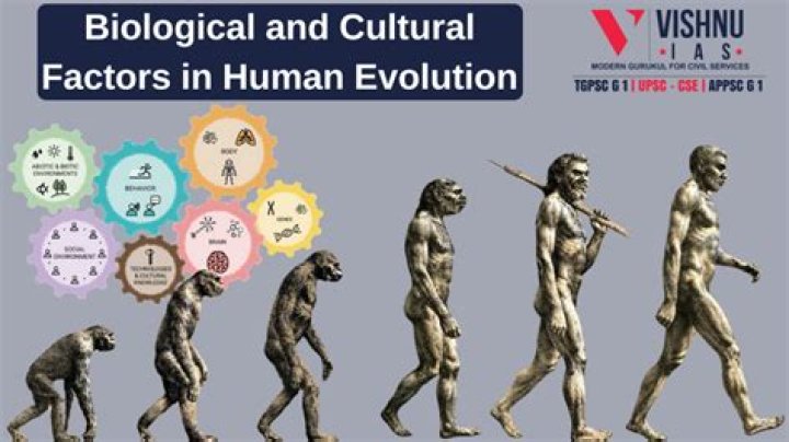 Exploring The Engineering, Biological, And Cultural Dimensions